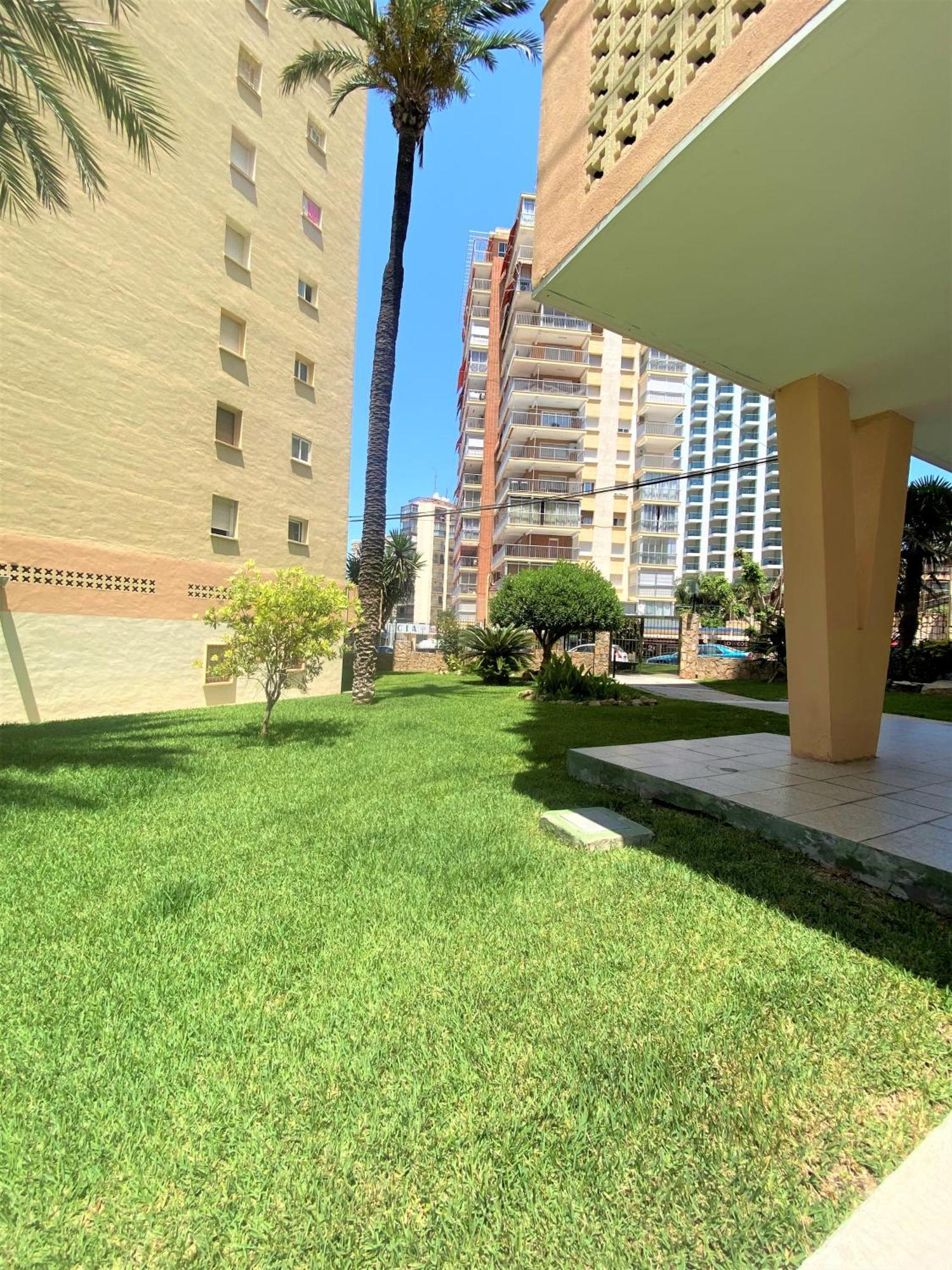 Carabelas-3-12 Benidorm Dış mekan fotoğraf